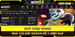 Win55 là sân chơi giải trí khẳng định vị thế hiện nay