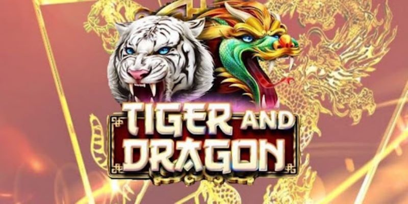 Tìm hiểu cách chơi và quy tắc để thành công khi tham gia Dragon Tiger