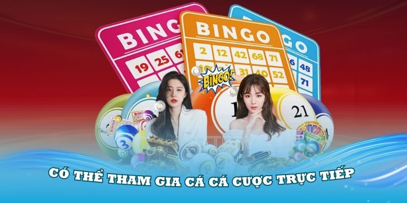 Thành viên có thể tham gia cá cá cược trực tiếp tại nền tảng